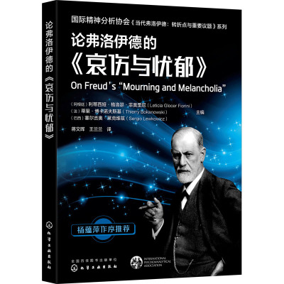 国际精神分析协会《当代弗洛伊德:转折点与重要议题》系列--论弗洛伊德的《哀伤与忧郁》
