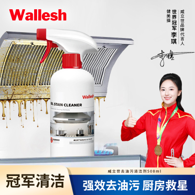 威立世Wallesh 去油污清洁剂 508ml
