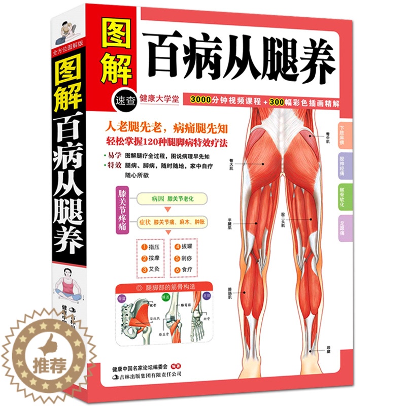 [醉染正版]正版 图解百病从腿养 中医理疗养生保健书 家庭医学书 疾病预防和治疗 中医学外科学经典120种腿脚病的特