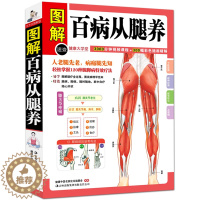 [醉染正版]正版 图解百病从腿养 中医理疗养生保健书 家庭医学书 疾病预防和治疗 中医学外科学经典120种腿脚病的特