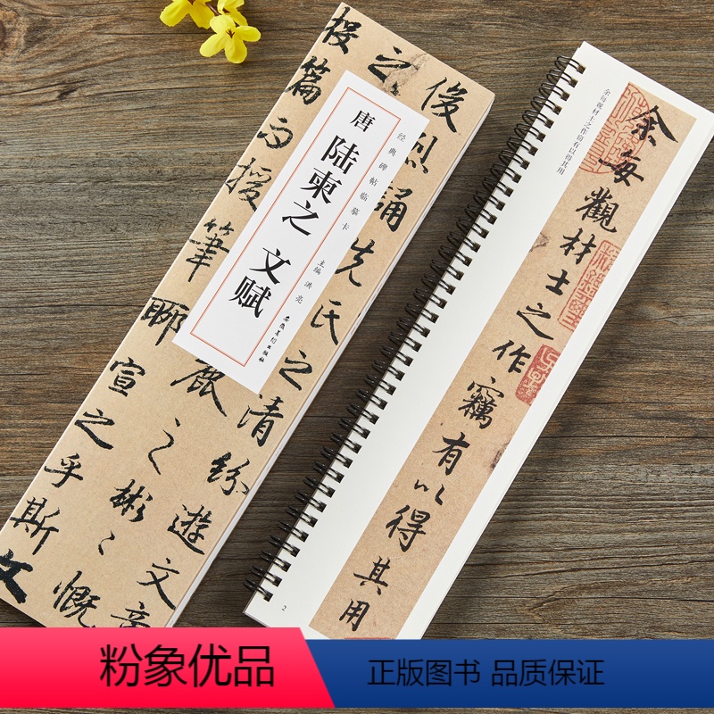 [正版]唐 陆柬之文赋 经典碑帖临摹卡 行书楷书毛笔书法字帖碑帖 安徽美术出版社