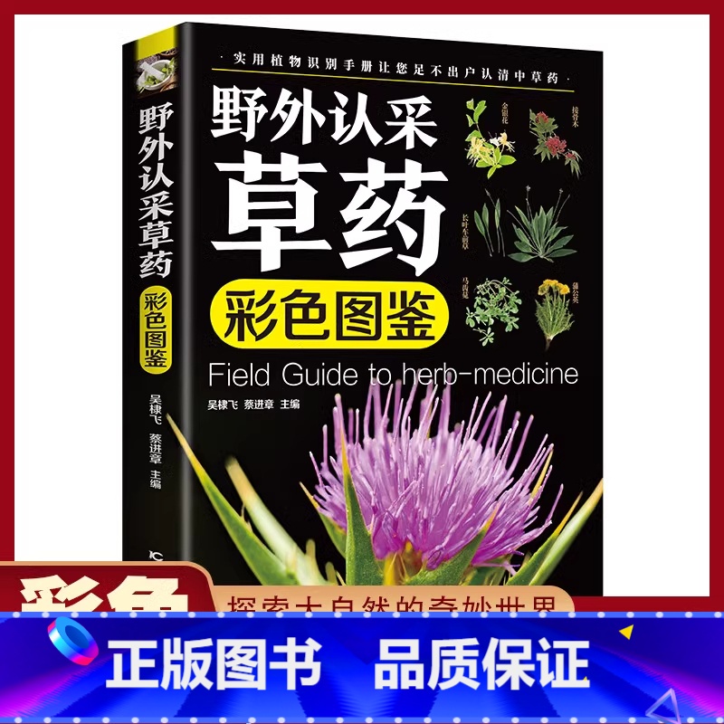 野外认采草药图鉴 [正版]野外认采草药彩色图鉴实用植物识别手册200多种野外常见中草药鉴别与应用中华汉方快速认药图谱书精