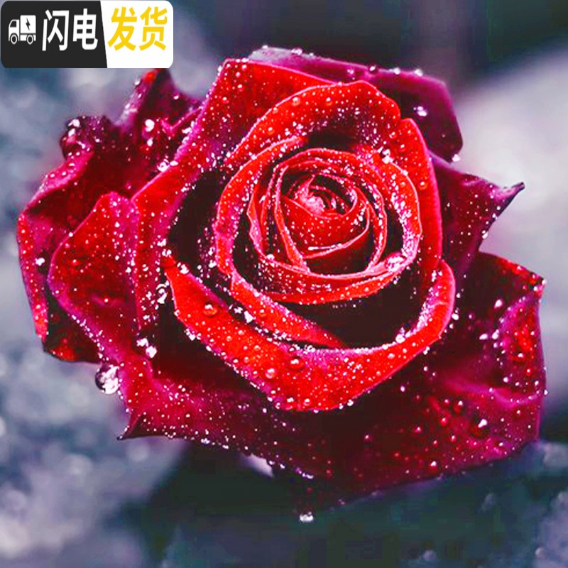 三维工匠2020新款5D钻石画客厅满钻玫瑰简单自己绣十字绣粘贴异形 [满钻全贴30*30厘米]异形钻钻多301套工具包