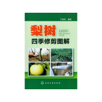 音像梨树四季修剪图解于新刚
