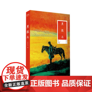 黑骏马