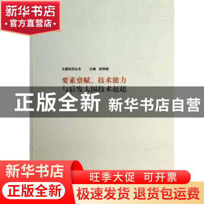 正版 要素禀赋、技术能力与后发大国技术赶超::大国经济丛书 生延