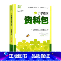 小学语文资料包 小学通用 [正版]小学语文资料包全国通用版小升初知识大集结小学生工具书 通城学典三四五六年级升学夺冠专项
