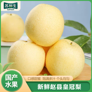 [苏鲜生]精品皇冠梨 新鲜水果 松脆多汁 净重4.7斤 单果250g以上