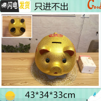 三维工匠金猪存钱罐不可取儿童储蓄罐超大号成人储钱罐创意大容量只进不出 单个长43厘米+金垫(只进不出)