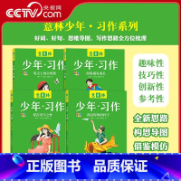 意林少年习作全四册(4本塑封套) [正版]央视网少年习作4本 笔尖上的自然课+拐角遇见成长+我记得你的样子+爱在光年之外