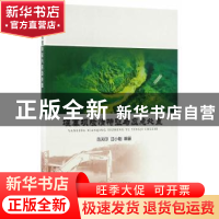 正版 堰塞坝险情特征与应急处置 范天印,汪小刚编著 中国水利水