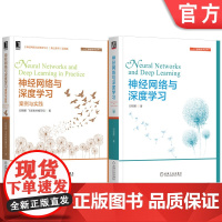 套装 邱锡鹏神经网络与深度学习理论+实践(套装共2册)机械工业出版社