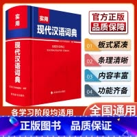 [正版]实用现代汉语词典 汉语大字典编纂处 四川辞书现代汉语词典学生成语词典汉语辞典高中生文言文语文新编字典