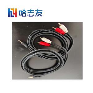 哈志友声控仪