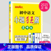 [正版]2024秋巅峰版小题狂做九年级上册初中语文RJ人教版9年级上初三上学期通用古诗歌文言文现代文微读微作同步训练辅导