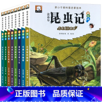 法布尔昆虫记 全8册 [正版]儿童昆虫记法布尔科普绘本彩图注音版名家名绘全套8册美绘小学一二三年级课外阅读书籍幼儿园宝宝