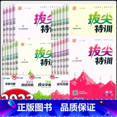 语文-人教版 五年级下 [正版]2024新版拔尖特训一二三四五六年级上下册语文数学英语人教版北师大版小学123456年级