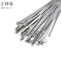 正铎泰 不锈钢扎带7.9*1000mm 100根/包