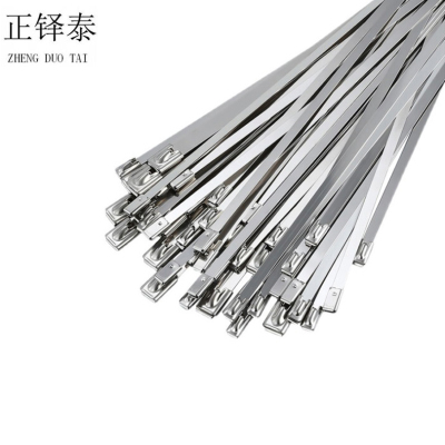 正铎泰 不锈钢扎带7.9*1000mm 100根/包