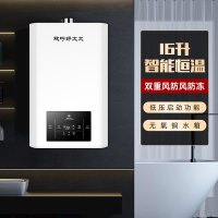 欢呼好太太 16升燃气热水器 三档智能支持恒温 家用强排式热水器WTR16L(天然气)