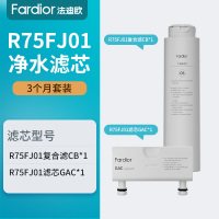 法迪欧(Fardior)净水器R75FJ01净水机 三个月组合装 复合滤芯CB*1+R75FJ01滤芯GAC*1