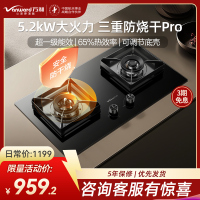 万和(Vanward)[小灶君B10 Pro·防干烧]天然气燃气灶5.2kW烟灶联动国家补贴20%嵌入式家用煤气双炉具