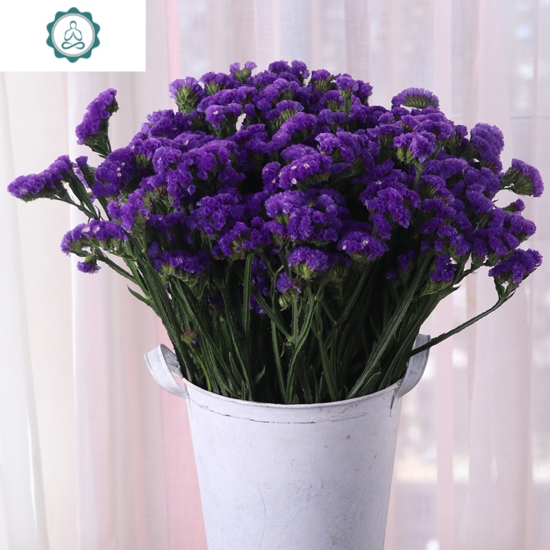 云南天然风干真花论斤卖勿忘我干花花束家居摆设小清新装饰满天星 封