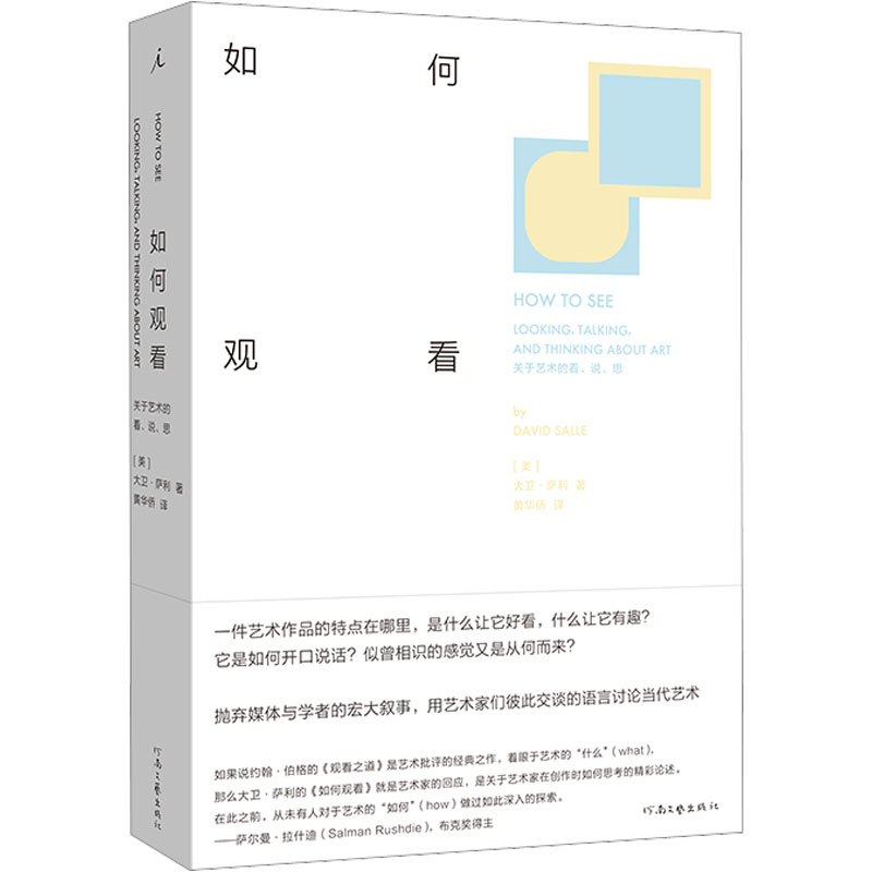 正版新书]如何观看 关于艺术的看、说、思(美)大卫·萨利97875559