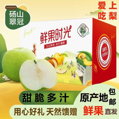 青皮蜜梨砀山翠冠青皮梨净重9斤新鲜当季果园直采脆梨水果 甜脆多汁 皮薄肉厚 礼盒装送礼公司福利