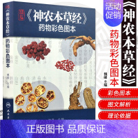 [正版]精编神农本草经药物彩色图本 自学中医入门医学类原版图解图鉴本草纲目伤寒论黄帝内经杂病原著中药材中药书中草药书籍