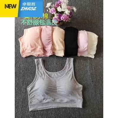 季女士大码文胸背心胸罩中老年妈妈加大加肥薄款无钢圈内衣卓思哲胸罩