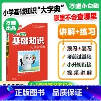 小学[数学]基础知识与初中衔接 小学通用 [正版]万唯小学基础知识大全手册数学小升初总复习强化训练一二三四五六年级小白鸽