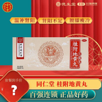同仁堂桂附地黄丸9g*10丸肾阳不足腰膝痠冷小便不利或反多