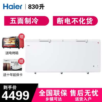 海尔（Haier）冰柜商用大容量卧式冷藏冷冻转换冷柜-38度低温海鲜柜顶开双门速冻BC/BD-830HCZ830升