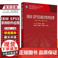 正版 IBM SPSS统计软件应用主编陈平雁 供研究生及科研人员用十三五规画教材 核心能力提升导引丛书 人民卫生出版社9