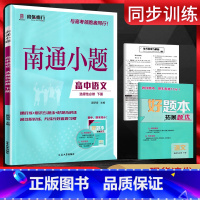 语文 选择性必修下册 [正版]2025新版 南通小题语文选择性必修下册人教版 高二下册语文同步练习册 高中语文选修下册同