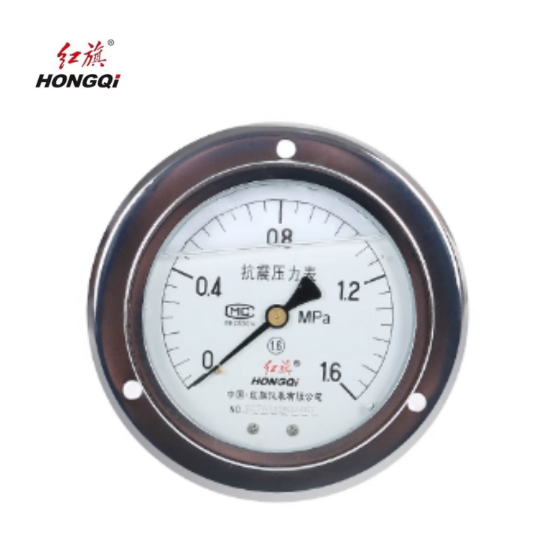 红旗 耐震压力表定制检测款 YTN150ZT (压力值需备注)块