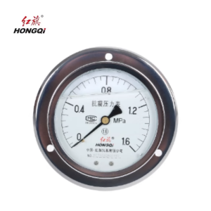 红旗 耐震压力表定制检测款 YTN150ZT (压力值需备注)块