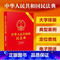 中华人民共和国民法典:大字本:含典型案例 [正版]中华人民共和国民法典 含典型案例 大字本 中国法制出版社 编 司法案例