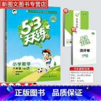 数学[人教版] 六年级下 [正版]2024新版53天天练六年级下册数学人教版同步作业训练人教版53小学一课一练测试卷寒假