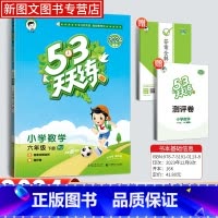 数学[人教版] 六年级下 [正版]2024新版53天天练六年级下册数学人教版同步作业训练人教版53小学一课一练测试卷寒假