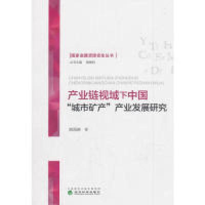 正版新书]产业链视域下中国“城市矿产”产业发展研究姚海琳9787