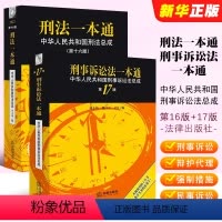 [正版]全套2册 2023新版刑法一本通第十六版 刑事诉讼法一本通第十七版 相关法律解释立案标准司法解释指导案例