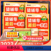 (9月升一年级)▲语数英通用版 [正版]2023新版猿辅导暑假一本通暑假作业语文数学英语幼小衔接 一二三年级四五六年级通