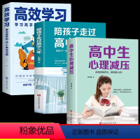 [正版]全套3册 陪孩子走过高中三年 高中生心理解压 高效学习法 培养学习方法 樊登育儿书籍父母阅读3年 家庭教育心理