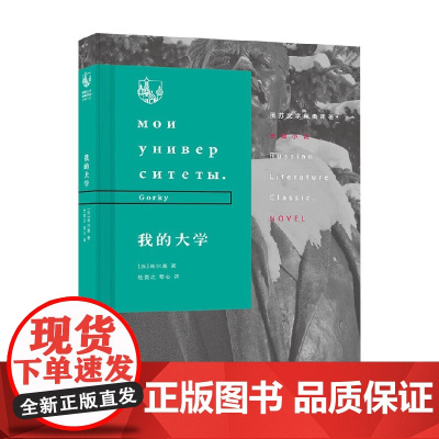 我的大学 高尔基 著 小说