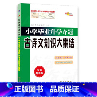 [正版]书籍小学毕业升学夺冠古诗文知识大集结(全新升级版)