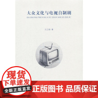 大众文化与电视自制剧