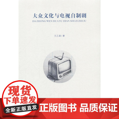 大众文化与电视自制剧