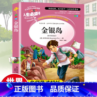 金银岛(彩绘带导读) [正版]金银岛书 三四五年级阅读课外书非老师必读物 适合小学生看的课外阅读书籍经典名著青少年儿童文